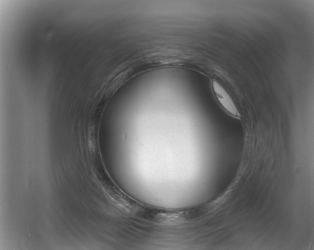X0000060560170200511030928