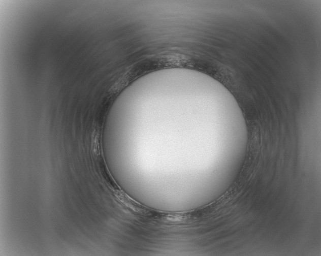 X0000060560177200511030928