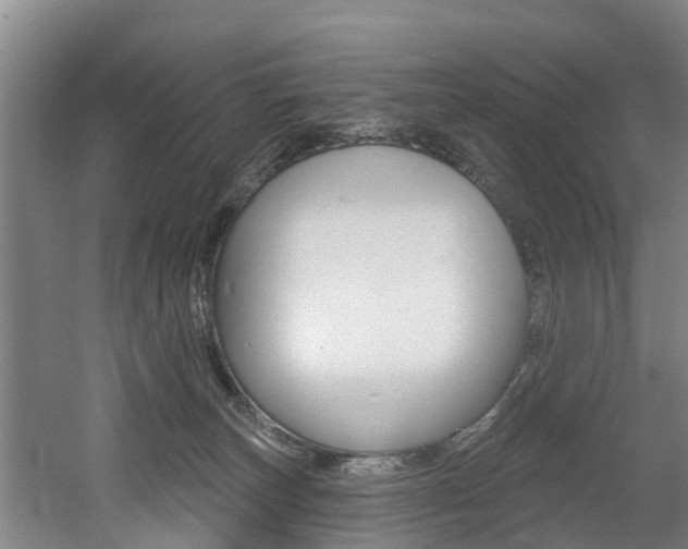 X0000060560179200511030928