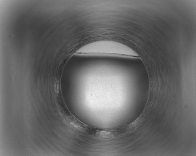 X0000060560180200511030928
