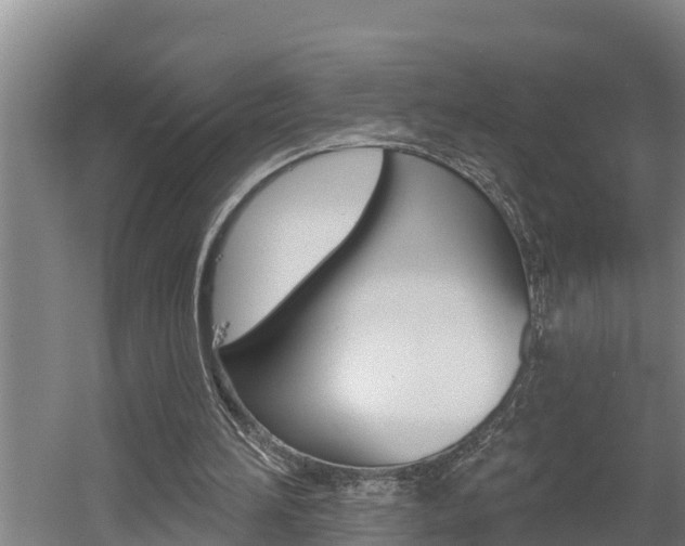 X0000060560196200511030927