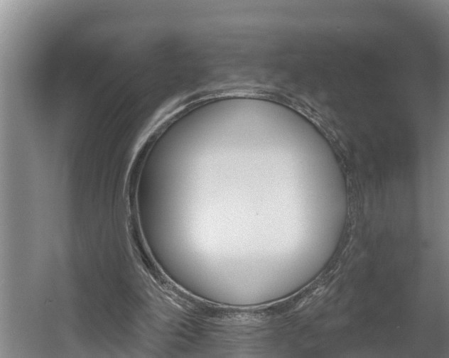X0000060560198200511030927