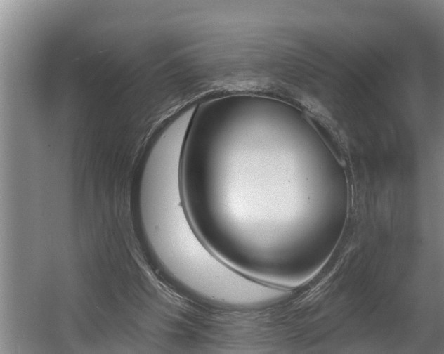 X0000060560201200511030927