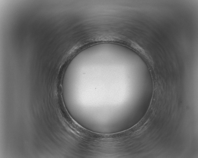 X0000060560203200511030927