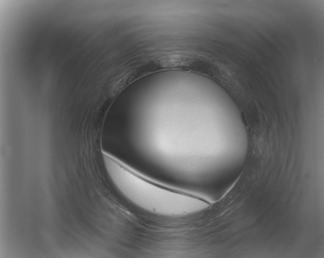 X0000060560219200511030927