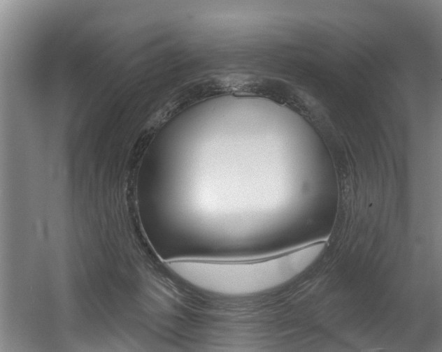 X0000060560221200511030927