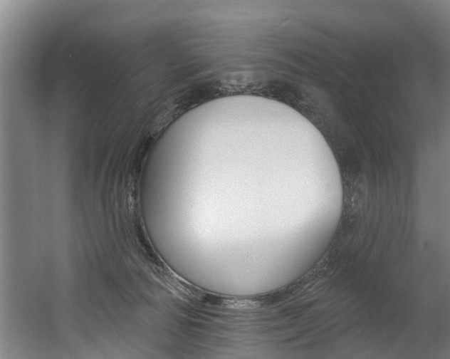 X0000060560226200511030927