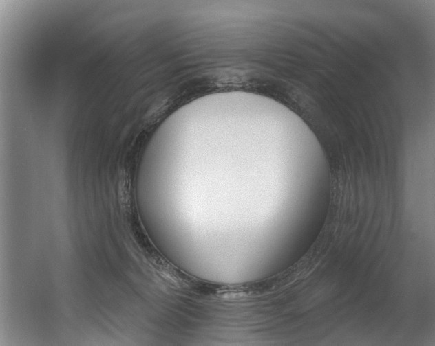 X0000060560228200511030927