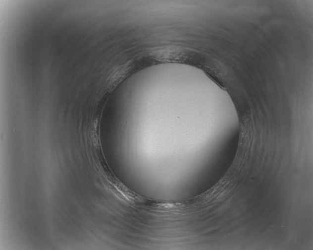 X0000060560239200511030926