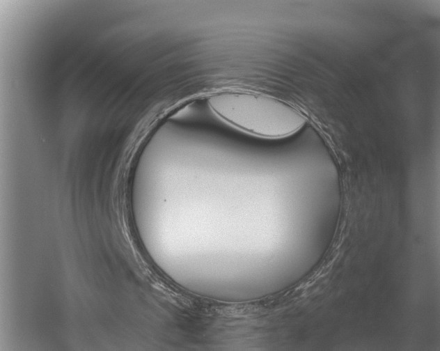 X0000060560241200511030926