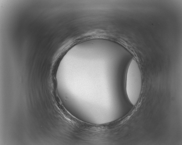 X0000060560245200511030926