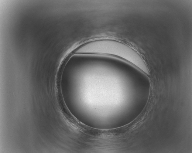 X0000060560248200511030926