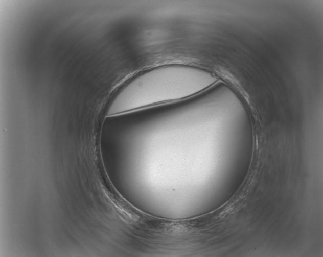 X0000060560249200511030926
