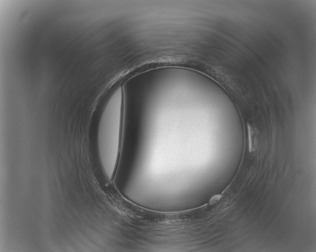 X0000060560252200511030926