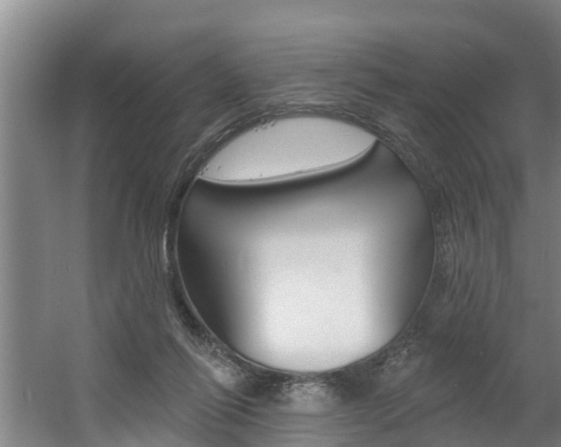 X0000060560262200511030926