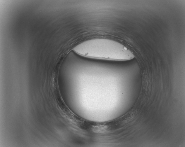 X0000060560266200511030926