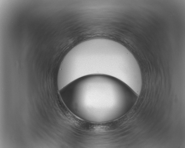 X0000060560268200511030926