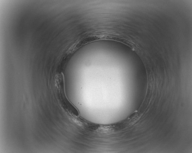 X0000060560280200511030926