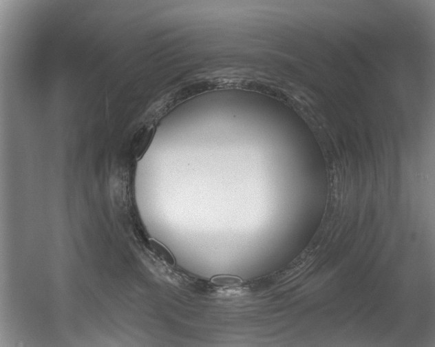 X0000060560283200511030926