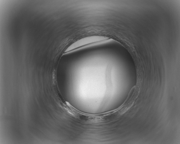 X0000060560288200511030926