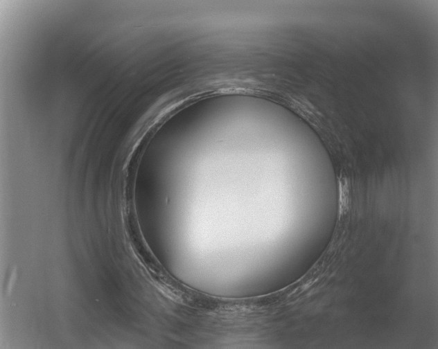 X0000060560291200511030925