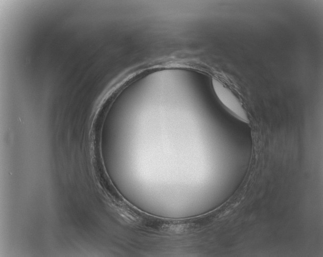 X0000060560295200511030925