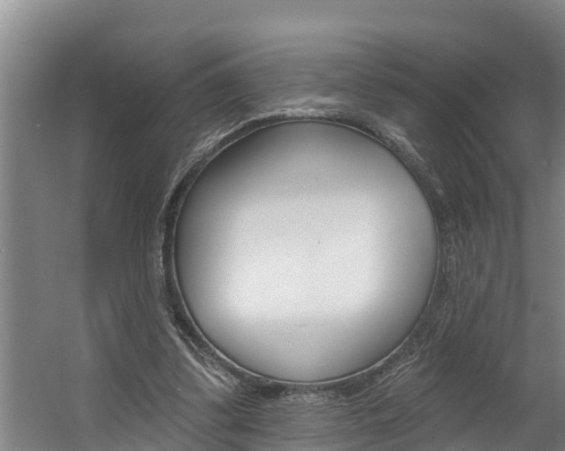 X0000060560299200511030925