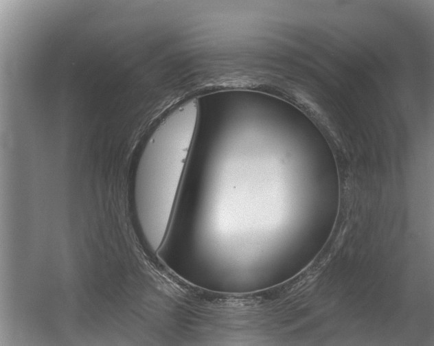 X0000060560305200511030925