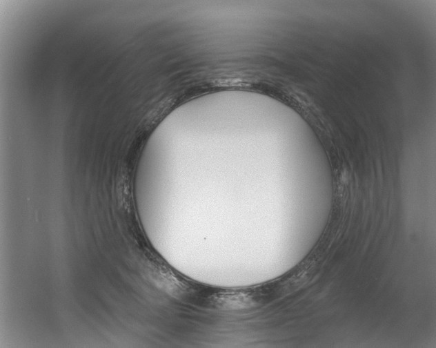X0000060560322200511030925