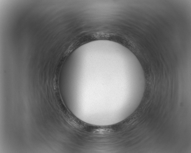 X0000060560323200511030925