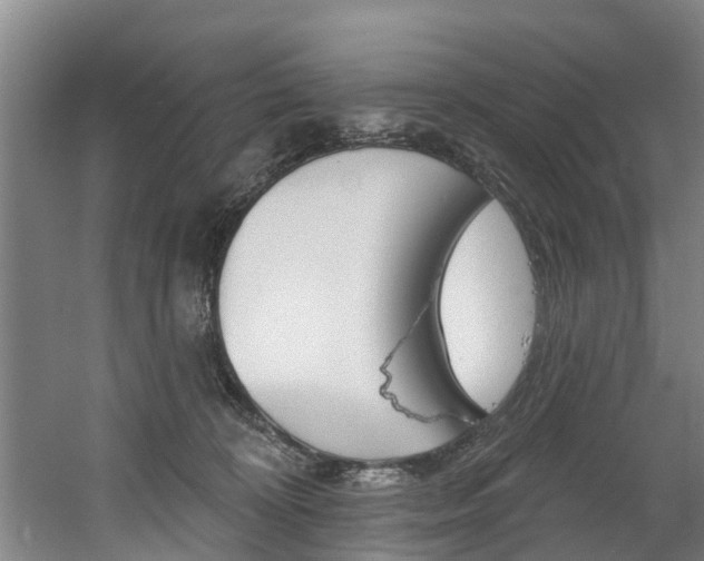 X0000060560324200511030925