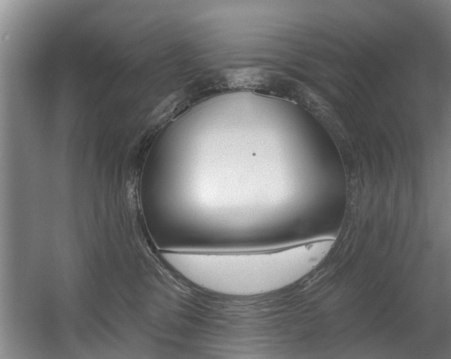 X0000060560329200511030925