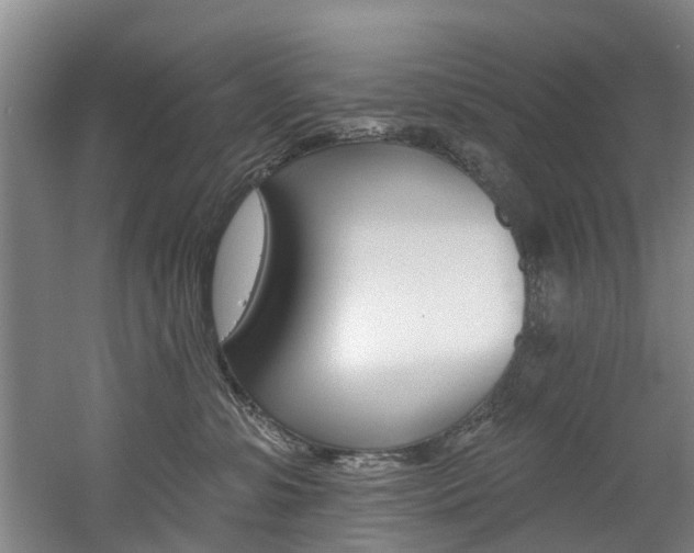 X0000060560331200511030925