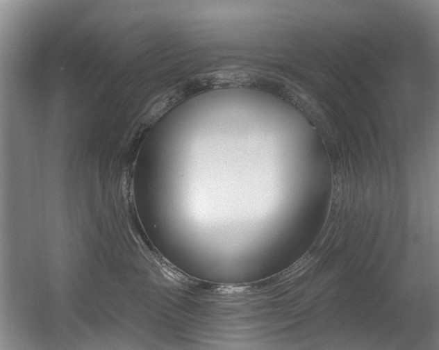 X0000060560333200511030925