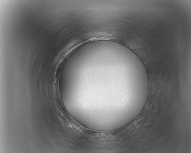 X0000060560338200511030924