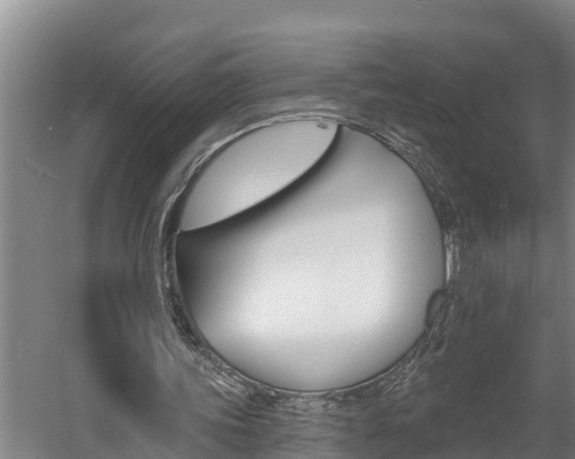X0000060560339200511030924