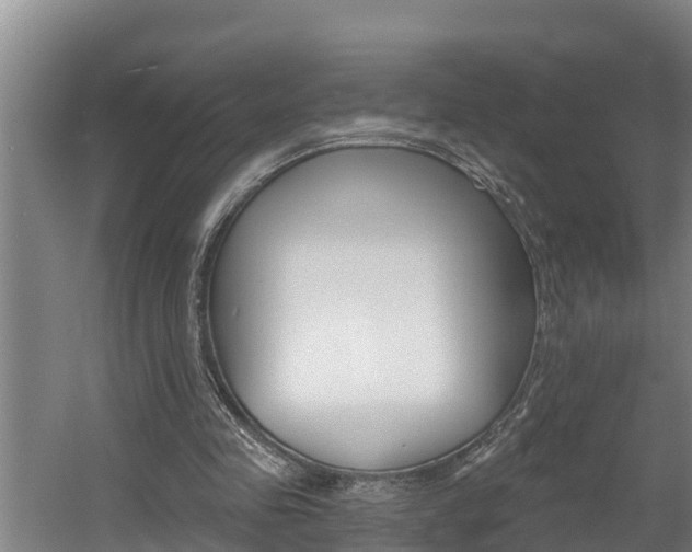 X0000060560341200511030924