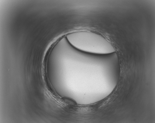 X0000060560342200511030924