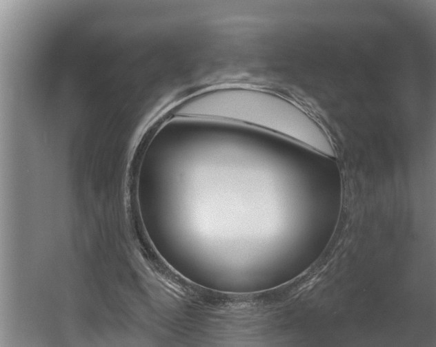 X0000060560344200511030924