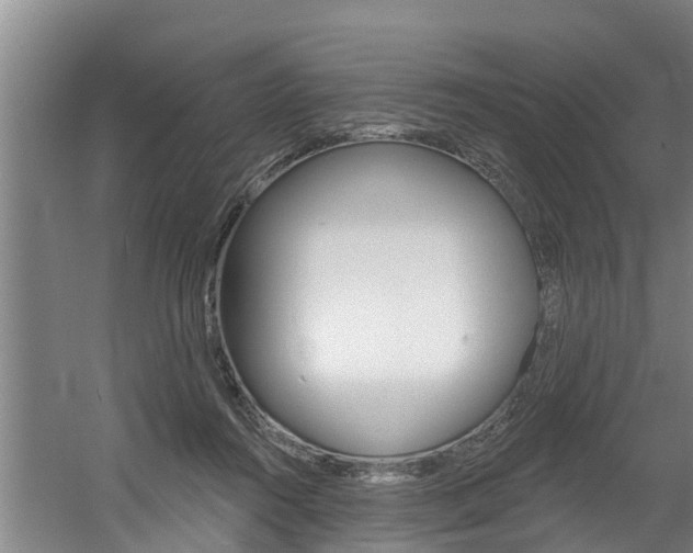 X0000060560360200511030924