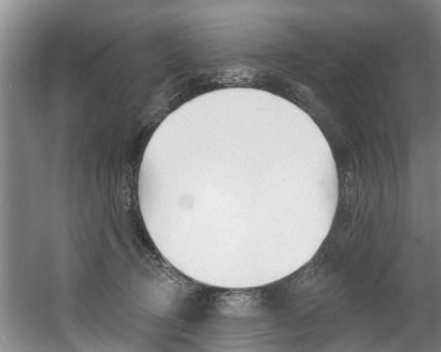 X0000060560370200511030924