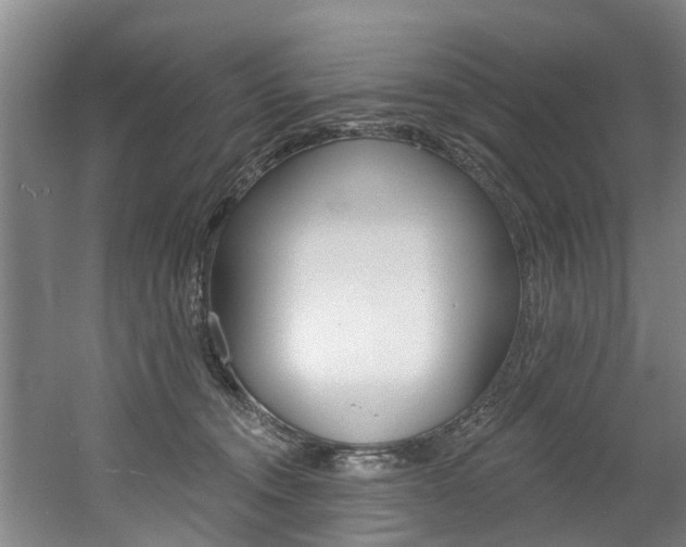 X0000060560372200511030924