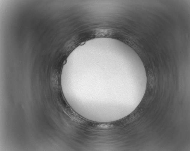 X0000060560375200511030925