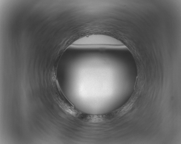 X0000060560384200511030925