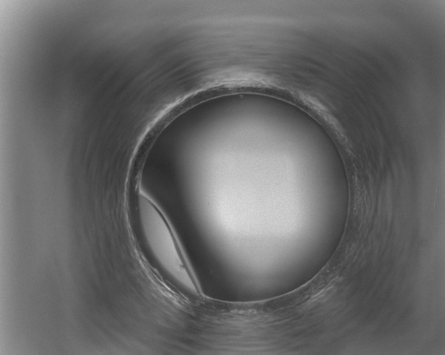 X0000060560391200511030924