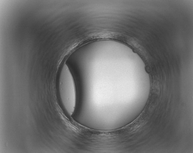X0000060560394200511030923