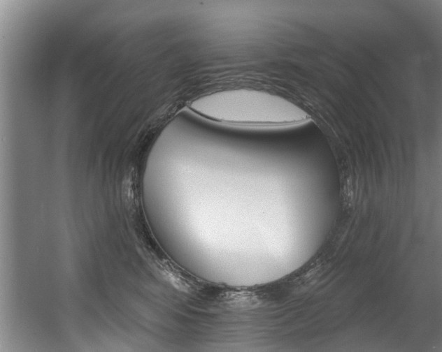 X0000060560424200511030923