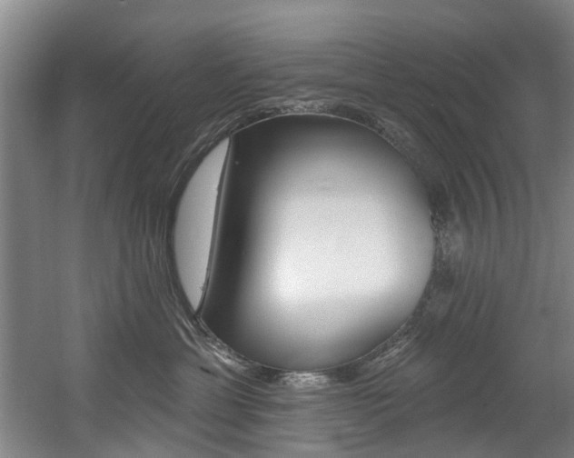X0000060560429200511030923