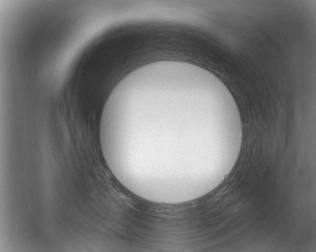 X0000060560431200511030923
