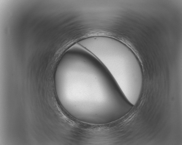 X0000060560433200511030922